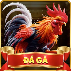 Xổ số 8xbet