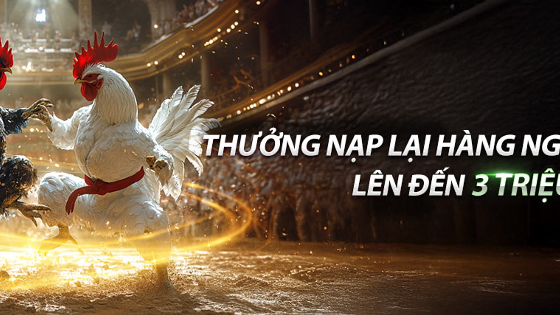 Biểu ngữ hoàn trả hàng ngày 8xbet với tiền xu và biểu tượng giải thưởng