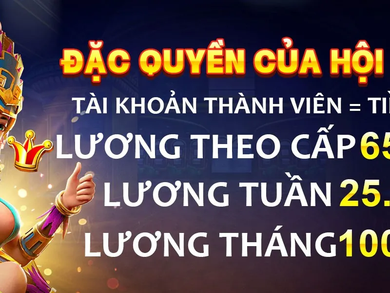 Hình ảnh thẻ VIP