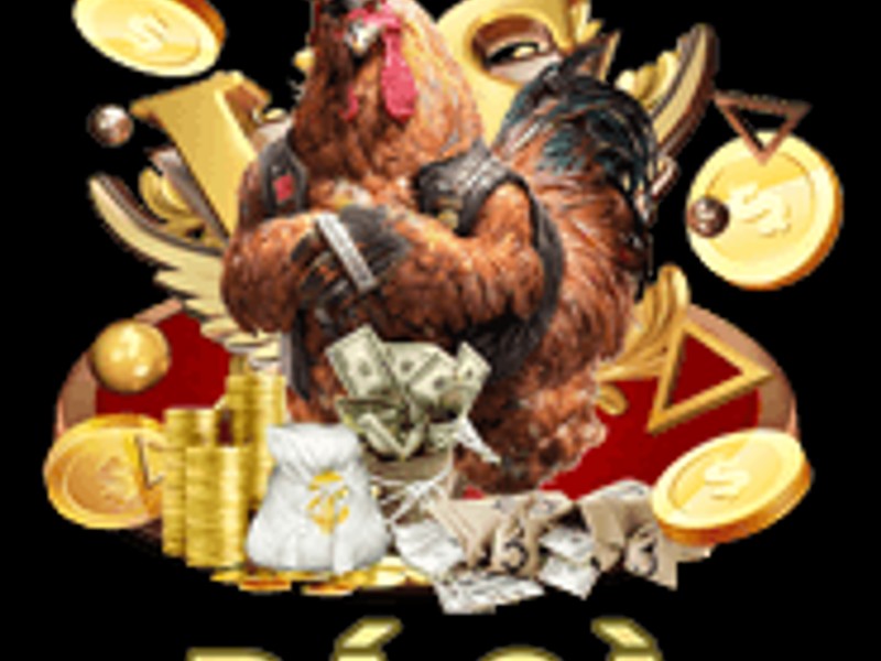 Tổng quan về chương trình hoàn trả 8xbet, hình ảnh tiền và biểu tượng phần trăm