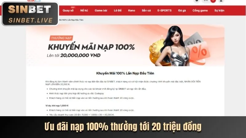 Biểu đồ các cấp độ VIP của 8xbet